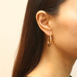 Snake Texture Hoop Earrings