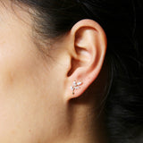 Branch Stud | 14K Gold