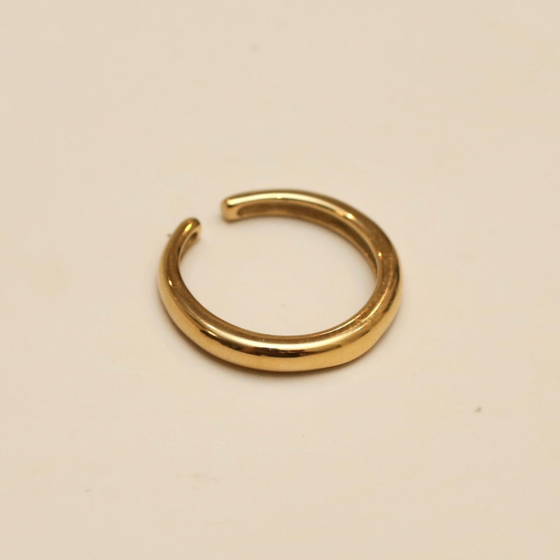 Gypsy Horn Ring