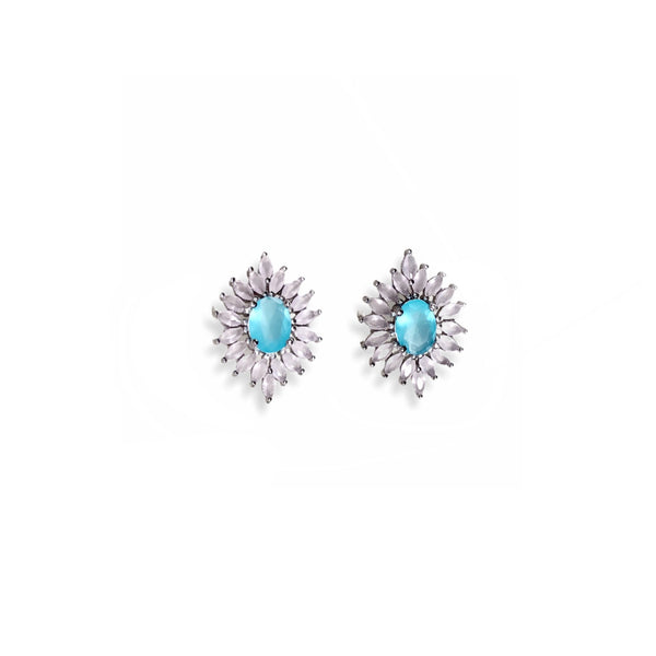 Classic Jewel Earrings