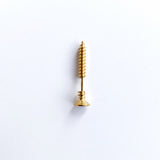 Nail Earring